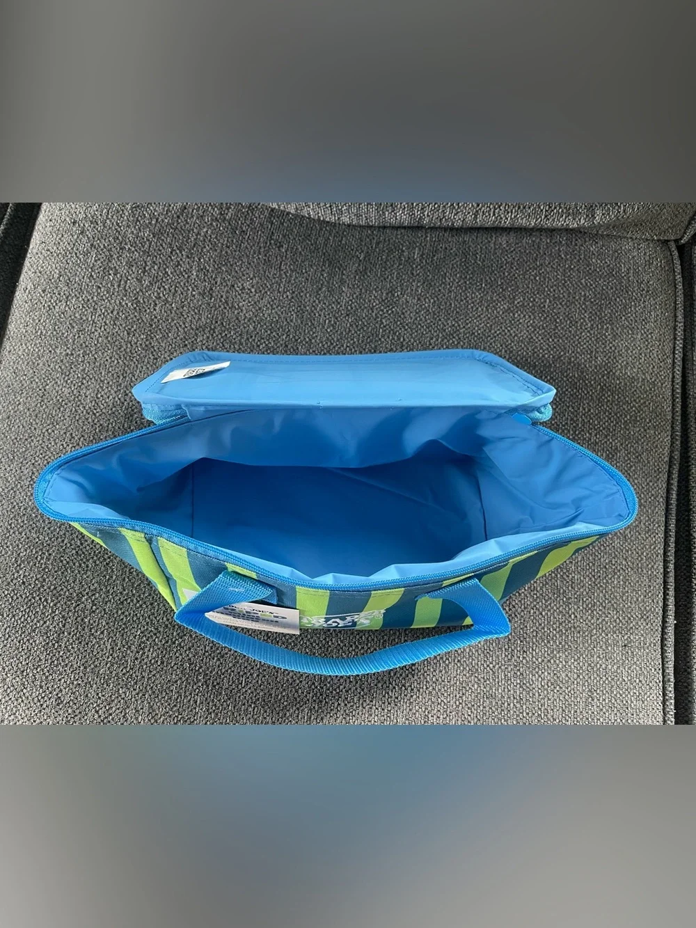 Trader Joe's Striped Mini Insulated Bag - Blue & Lime Green